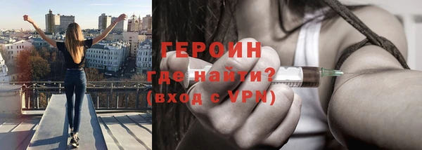 индика Белая Холуница