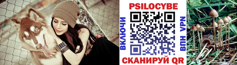 Псилоцибиновые грибы Cubensis  MEGA как войти  Сысерть  где купить наркоту 